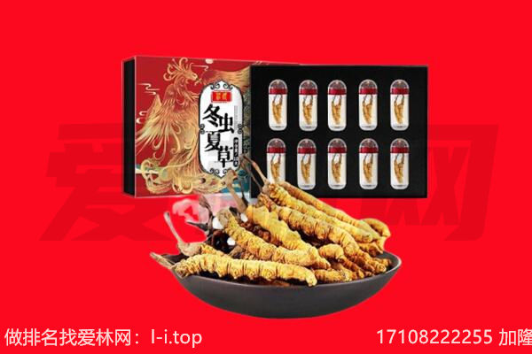 海南市虫草回收